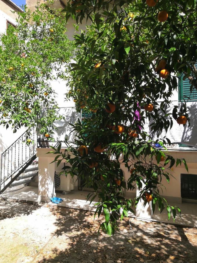 Garden House: Apartments And Rooms For Holidays Палермо Екстериор снимка